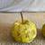 Pair of Wicker Fruit 4 thumbnail