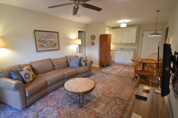 $1,295 / 1br - 600ft2 - R-6 Furnished 1BR Center City location (Cincinnati)63974471778435121