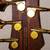 SDGR Premium 5-string Bass Guitar 2 thumbnail