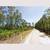 Stop Paying Rent! Own 0.22 Acre FL Land for Just $99/Down 10 thumbnail