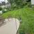 Mowing  9-Juan-Juan Lawn Care 4 thumbnail
