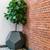 Studio in DTLA/Westlake Adjacent + W/D in Unit + Live/Work + SPECIALS 3 thumbnail