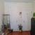 Quiet clean room in Astoria 9 thumbnail