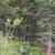 Funny river lot heavily wooded and level with no wetlands. 3 thumbnail