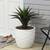 Resin indoor planter 2 thumbnail