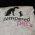 Pampered Pets T-Shirt Ladies Size Medium 1 thumbnail