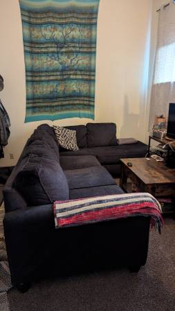 Large L-Shaped Sectional Couch 1