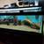 Fish tank 5 thumbnail
