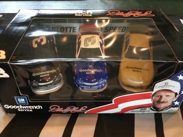 Earnhardt Olympic Tribute 1