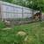 A.P. Landscaping & Design 12 thumbnail