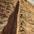 Landscape Experts - Drip Irrigation & Fruit Tree Care 22 thumbnail