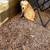 Golden Retriever puppies 6 thumbnail