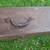 Vintage Craftsman Tool Storage Box Chest 30" x 9" x 9" 4 thumbnail