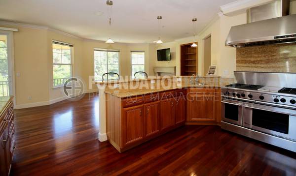 $8,500 / 4br - 3990ft2 - Architecturally Stunning Custom Estate with Resort-Style Pool - FOUNDA (san rafael)64017517249666122