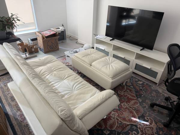 FREE - Sleeper couch/sofa, ottoman with storage, TV stand 1