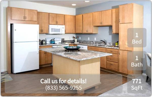 $1,433 / 1br - 771ft2 - Relax in your new 771 sq ft 1 bed / 1 bath! Great senior community! (Spring Lake Park - Northcourt Commons)64003957656194121