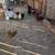 Chickens 3 thumbnail