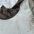 Tired of bark mulch??? Lanscape stones of Vt- Colored stone rocks!!!!! 11 thumbnail