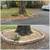 LANDSCAPE RESCUE: Landscaping Design, Installation, Maintenance 6 thumbnail