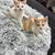 Kittens for sale 2 thumbnail