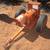 70 KW TRACTOR PTO GENERATOR WELDER 2 thumbnail