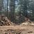 Firewood 1 thumbnail