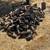 Oak firewood 13 thumbnail