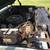 1986 Chevrolet Military K5 17 thumbnail