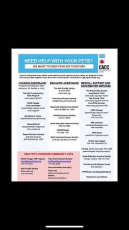 Need help with your pets 1