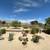 *Must See Updated 4 Bd/ 3 Ba House w/ yard on Golf Course! 17 thumbnail