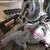 Craftsman 10” Compound Miter Saw – 75th Anniversary Edition – $120 OBO 1 thumbnail