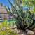 Palm Desert Two Bedroom Apartment Homes 14 thumbnail