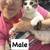 Cats looking for good homes 11 thumbnail
