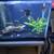 30 gallon fish tank 4 thumbnail