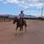 3 year old AQHA stud 7 thumbnail