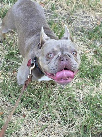Frechie (Petaluma)63941611977219121