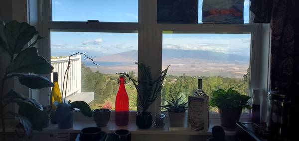 $1,600 / 484ft2 - Studio 484 sf on 5 acres (Kula)63939394815619121
