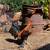 Gallos,roosters,gamefowl 4 thumbnail