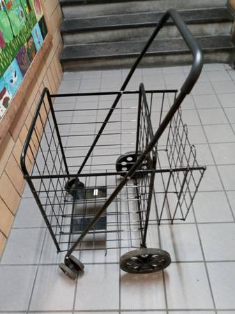 Shopping cart 1