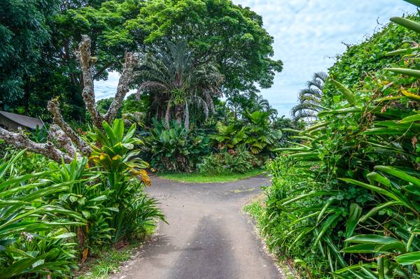 $1500.00 / 1br - Private cabin for One Person, No Pets @ Hawaiian Retreat with shared k63939661999235120