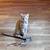 Free kittens/cat 2 thumbnail