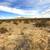 2.19 Acre lot 2 thumbnail