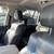 Used 2017 Lexus LX 570 8 thumbnail