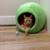 Male Kittens 3 thumbnail