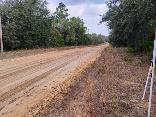 $7,500 / 9583ft2 - Nice wooded Buildable lot in Interlachen Lakes Estates (Interlachen)63822865296385122