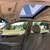 Lexus ES330 - ELDERLY OWNED -LOW MILES 6 thumbnail