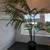 IKEA FEJKA Artificial potted plant, palm - 70.75'' H × 9'' pot diamet 2 thumbnail