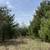 Chenango County / Year Round Getaway / 8 acres / 3 Hrs. G.W. Bridge 2 thumbnail