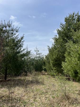$21,900 Condado de Chenango / Refugio todo el año / 8 acres / 3 horas del puente George Washington (Bainbridge, Nueva York)63854291022979121