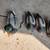 Mallard decoys set 2 thumbnail